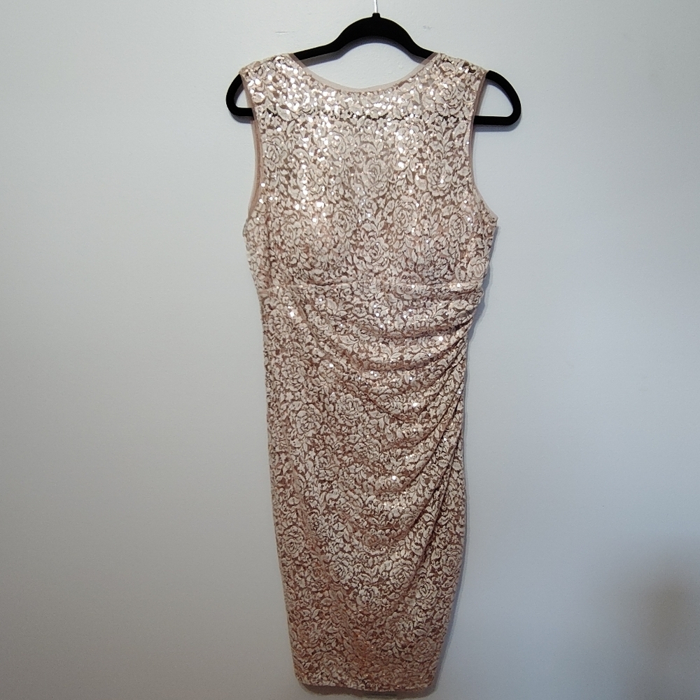 Sleeveless Sequin Sheath Dress in Blush